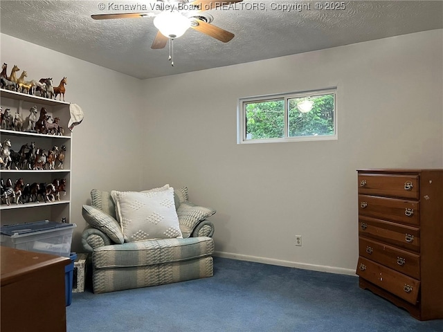 1324 13th St, Nitro, WV 25143 - sitting room featuring a ceiling fan, carpet floors, and a textured ceiling