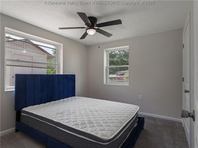 5285 Kelly Rd, Charleston, WV 25313 - bedroom with carpet, multiple windows, and ceiling fan
