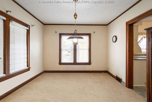 104 E Riverview Dr, Belle, WV 25015 - unfurnished dining area with light carpet, crown molding, and a textured ceiling