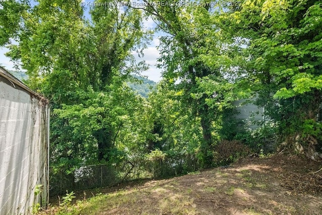 104 E Riverview Dr, Belle, WV 25015 - view of yard