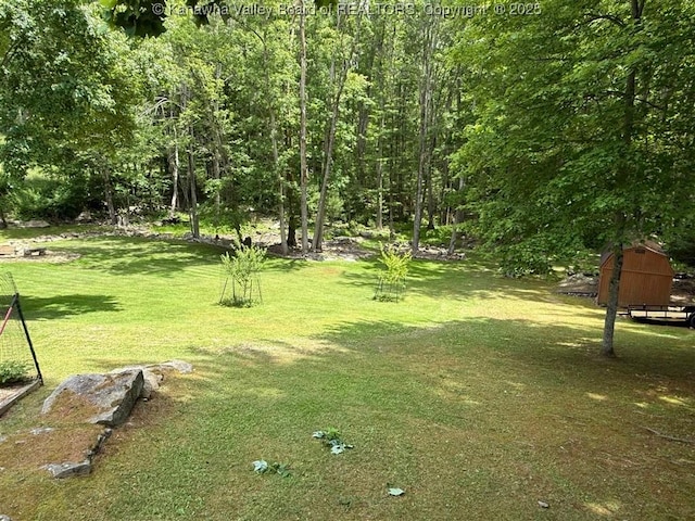 960 Grandview Rd, Daniels, WV 25832 - view of green lawn featuring a storage unit