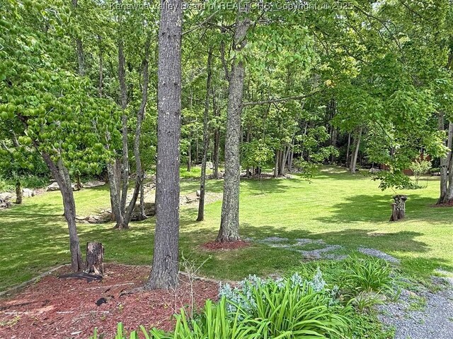 960 Grandview Rd, Daniels, WV 25832 - view of grassy yard
