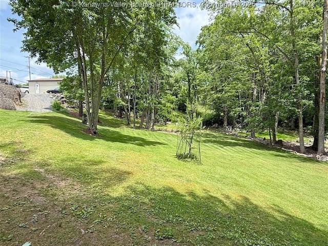 960 Grandview Rd, Daniels, WV 25832 - view of green lawn