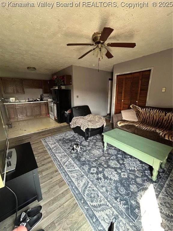 322 16th St, Dunbar, WV 25064 - living room featuring a ceiling fan, a textured ceiling, and light wood-type flooring