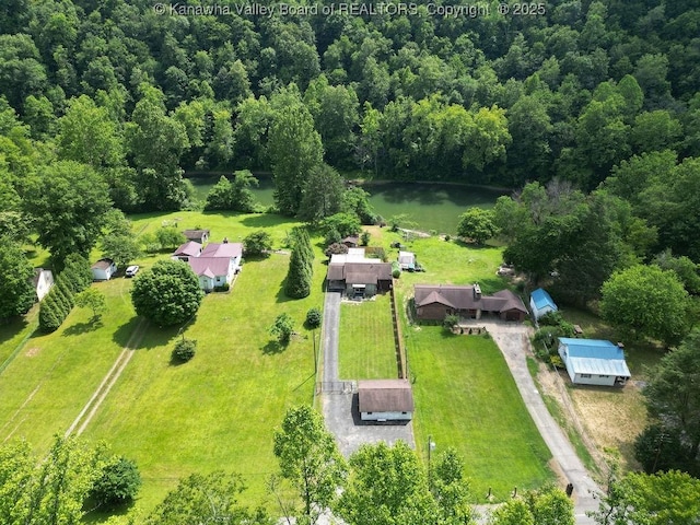 9627 Procious Maysel Rd, Procious, WV 25164 - bird's eye view of a nearby body of water and a heavily wooded area