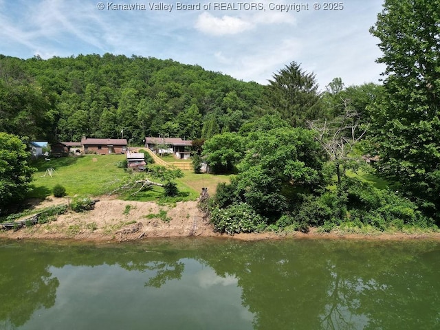 9627 Procious Maysel Rd, Procious, WV 25164 - water view with a heavily wooded area