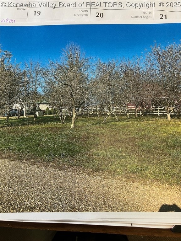 175 Ivy Ln, Gallipolis Ferry, WV 25515 - photo 11