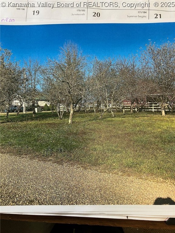 175 Ivy Ln, Gallipolis Ferry, WV 25515 - photo 16