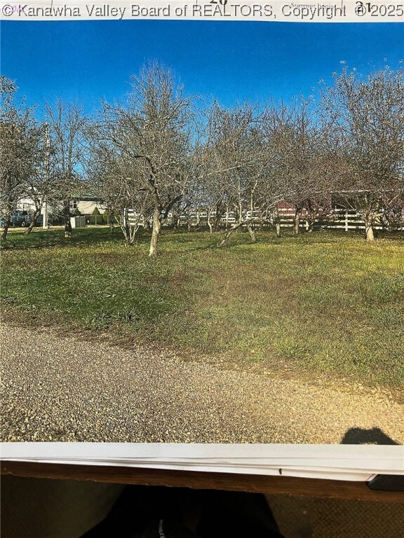 175 Ivy Ln, Gallipolis Ferry, WV 25515 - photo 17