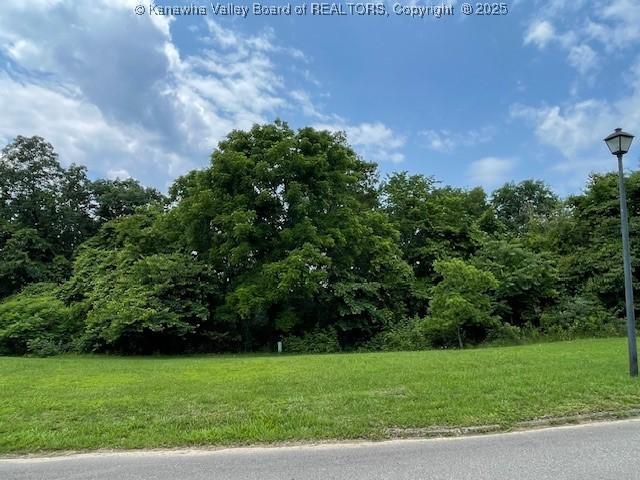 0 Brenda Ln, Charleston, WV 25312