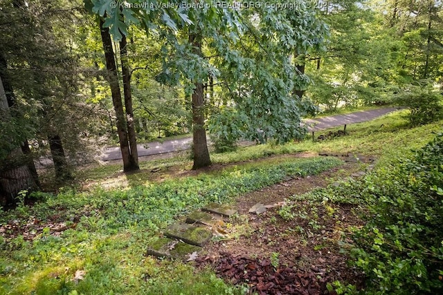 2603 Hollister Dr, Charleston, WV 25302 - view of undeveloped land