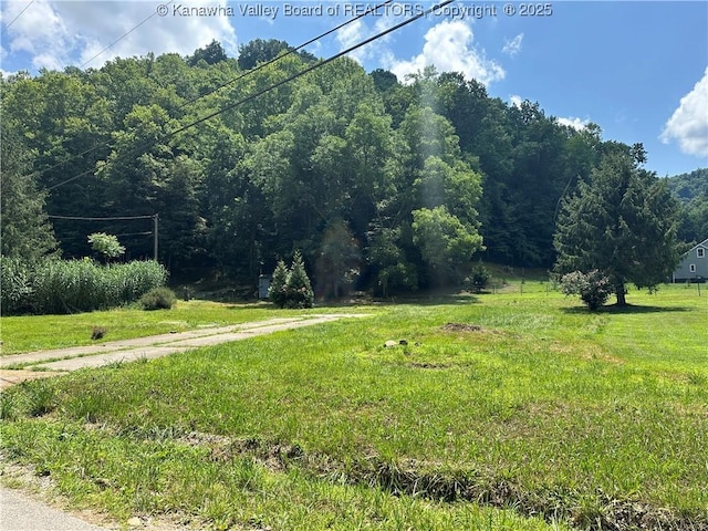 3626 Rock Creek Rd, Foster, WV 25081 - photo 1