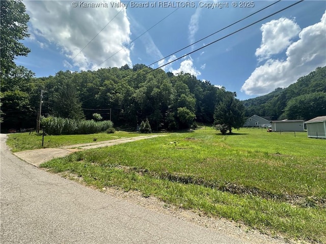 3626 Rock Creek Rd, Foster, WV 25081 - photo 6