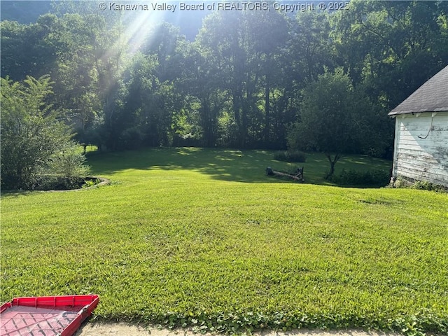 23908 Coal River Rd, Wv, WV 25148 - view of green lawn