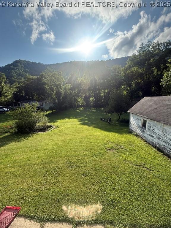 23908 Coal River Rd, Wv, WV 25148 - view of green lawn with a mountain view