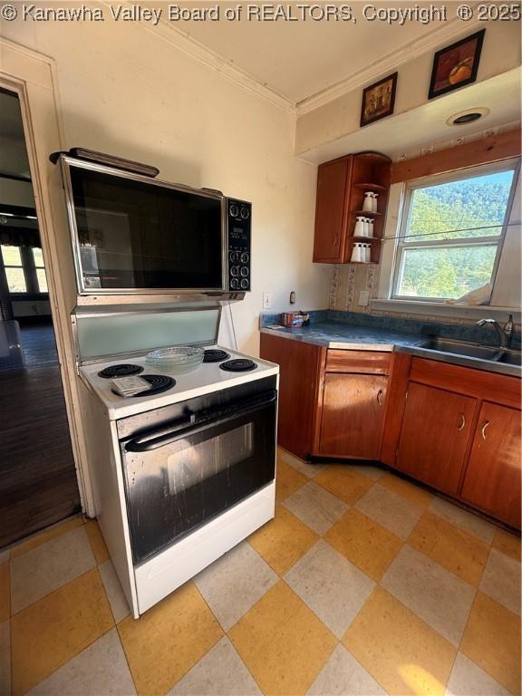 23908 Coal River Rd, Wv, WV 25148 - kitchen featuring electric stove, crown molding, brown cabinetry, open shelves, and dark countertops