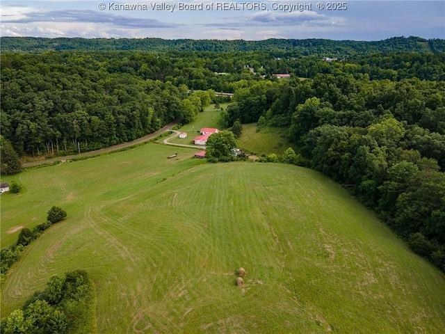 449 Lee Creek Rd, Culloden, WV 25510 - bird's eye view of a forest