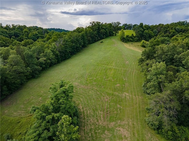449 Lee Creek Rd, Culloden, WV 25510 - view of rural area