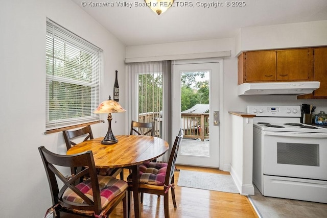 1013 Walnut Rd Unit 4, Charleston, WV 25314 - dining room featuring light wood finished floors and baseboards