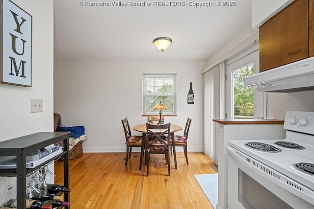 1013 Walnut Rd Unit 4, Charleston, WV 25314 - dining room featuring plenty of natural light and light wood-type flooring