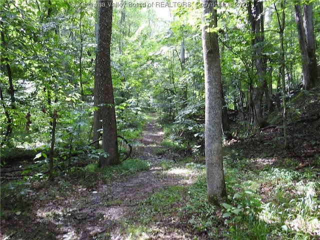 5609 Hurricane Creek Rd, Hurricane, WV 25526 - view of wooded area