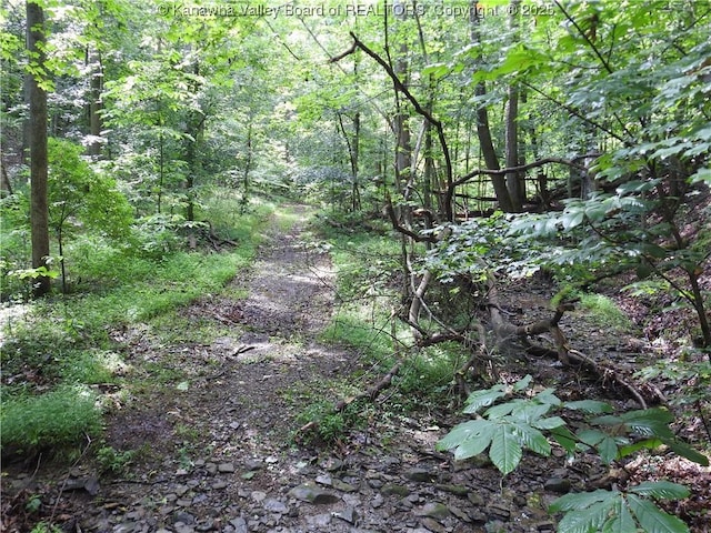 5609 Hurricane Creek Rd, Hurricane, WV 25526 - view of tree filled area