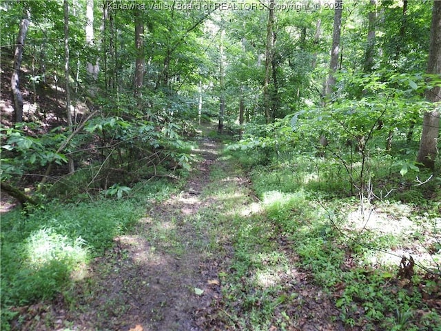 5609 Hurricane Creek Rd, Hurricane, WV 25526 - view of wooded area