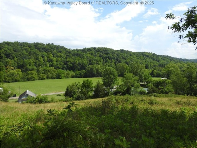 5609 Hurricane Creek Rd, Hurricane, WV 25526 - view of mountain background with a heavily wooded area and rural landscape
