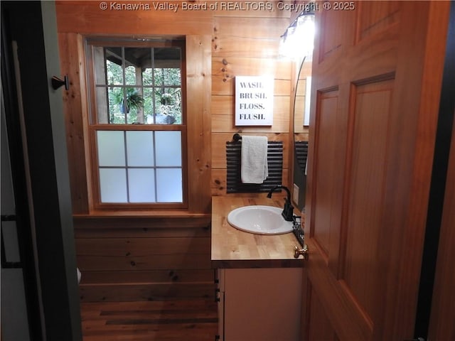 5609 Hurricane Creek Rd, Hurricane, WV 25526 - bathroom with vanity and wood walls