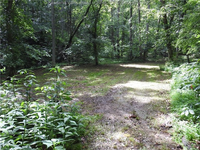 5609 Hurricane Creek Rd, Hurricane, WV 25526 - view of yard with a view of trees