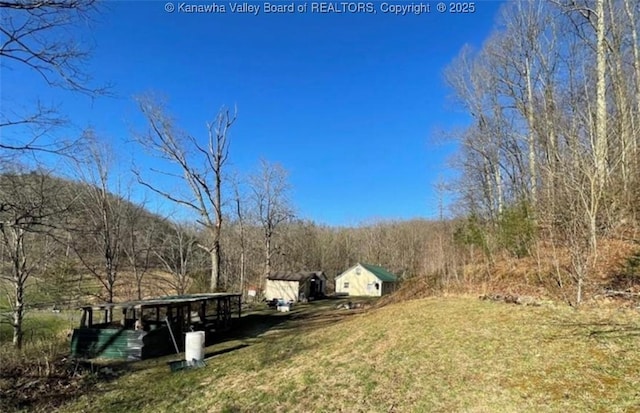 292 Maysel Laurel Ridge Rd, Wv, WV 25133 - view of green lawn with a forest view