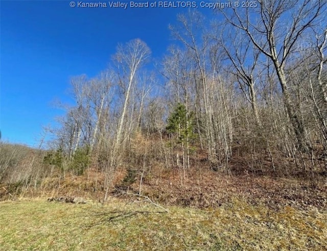292 Maysel Laurel Ridge Rd, Wv, WV 25133 - view of undeveloped land