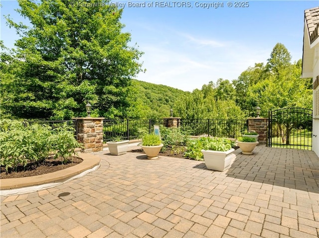 948 Little Coal River Rd, Alum Creek, WV 25003 - view of patio / terrace