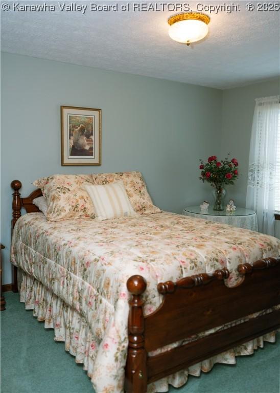 35 Belpac Cir, Logan, WV 25601 - bedroom with carpet floors and a textured ceiling