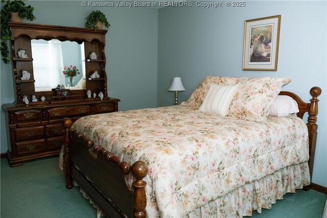 35 Belpac Cir, Logan, WV 25601 - bedroom featuring carpet flooring