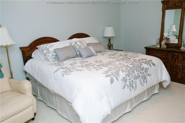 35 Belpac Cir, Logan, WV 25601 - bedroom featuring light colored carpet