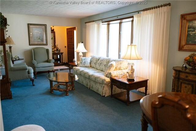 35 Belpac Cir, Logan, WV 25601 - carpeted living area with a textured ceiling