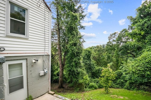 528 Medina St, Charleston, WV 25302 - view of yard