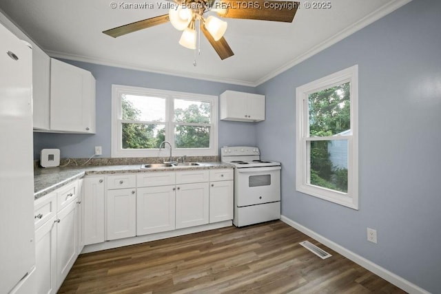 528 Medina St, Charleston, WV 25302 - kitchen featuring white appliances, ornamental molding, ceiling fan, white cabinets, and dark wood-type flooring