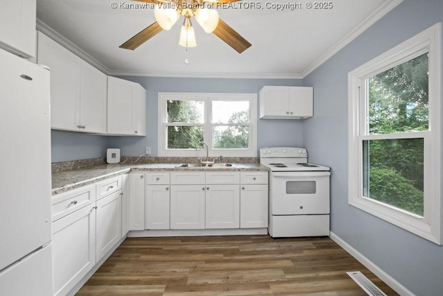 528 Medina St, Charleston, WV 25302 - kitchen featuring white appliances, healthy amount of natural light, ornamental molding, white cabinets, and wood finished floors