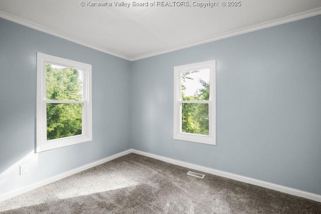 528 Medina St, Charleston, WV 25302 - empty room featuring ornamental molding, plenty of natural light, and carpet