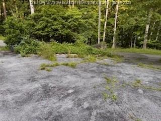 441 Poplar Grove Dr, Princeton, WV 24739 - photo 8