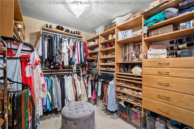 137 Summit Ridge Rd, Hurricane, WV 25526 - walk in closet featuring carpet