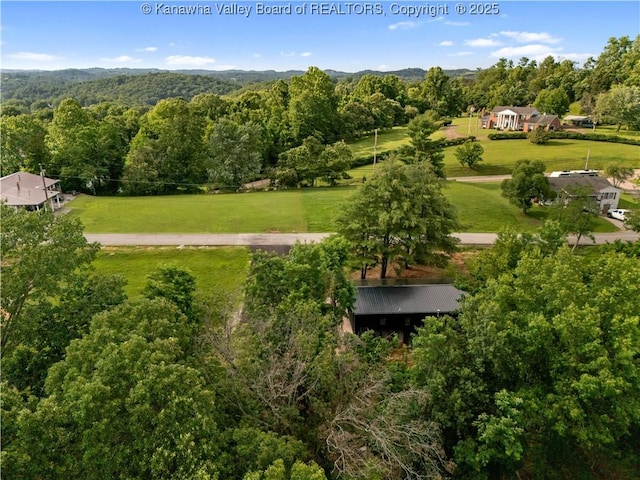 101 Scenic Dr, Ripley, WV 25271 - photo 34