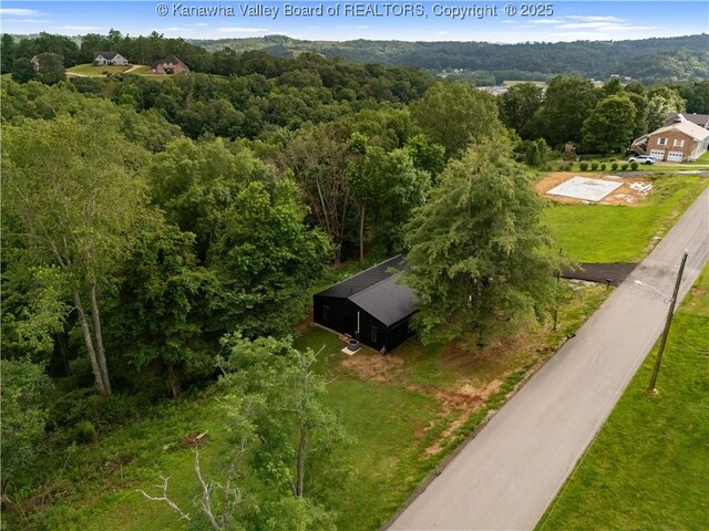 101 Scenic Dr, Ripley, WV 25271 - photo 36
