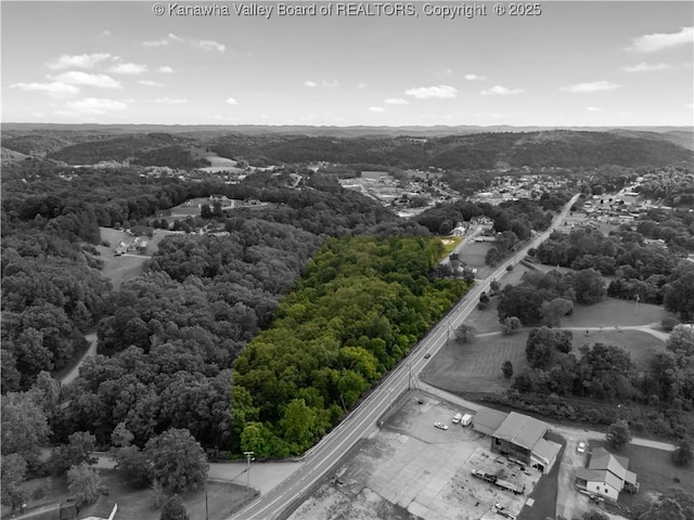 101 Scenic Dr, Ripley, WV 25271 - photo 39