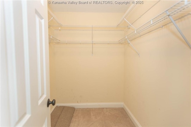 705 Christian Dr, Charleston, WV 25314 - walk in closet with carpet flooring