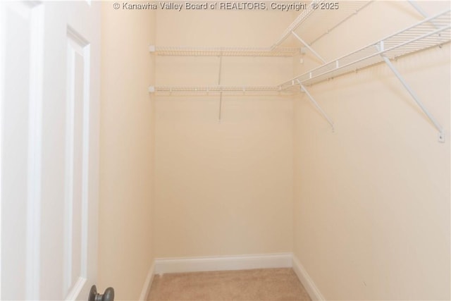 705 Christian Dr, Charleston, WV 25314 - spacious closet featuring carpet