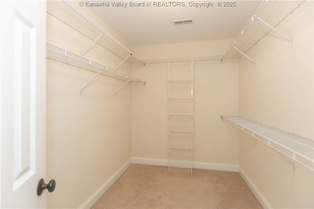 705 Christian Dr, Charleston, WV 25314 - walk in closet with light colored carpet