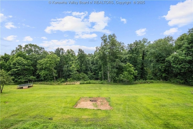 733 Divide Ridge Rd, Given, WV 25245 - view of grassy yard with a view of trees